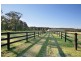 Central Mangrove NSW 2250