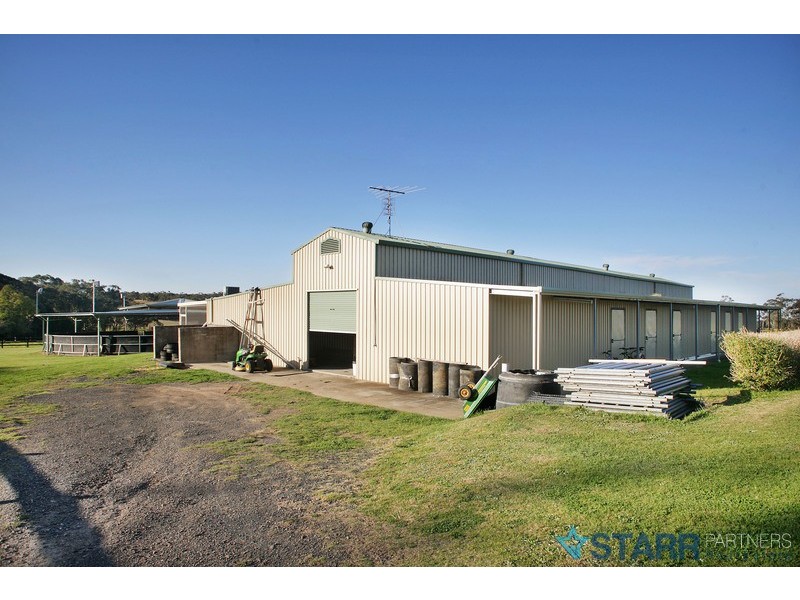 Central Mangrove NSW 2250