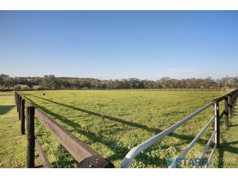 Central Mangrove NSW 2250