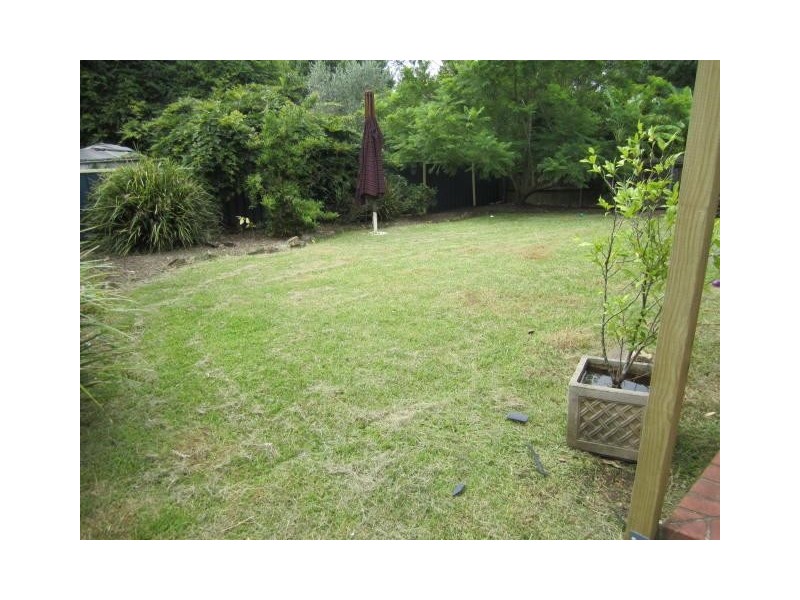 20 Bushlands Avenue, Springfield NSW 2250