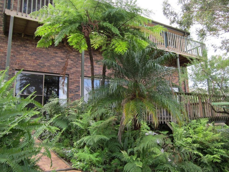 4 Margaret Rose Drive, East Gosford NSW 2250