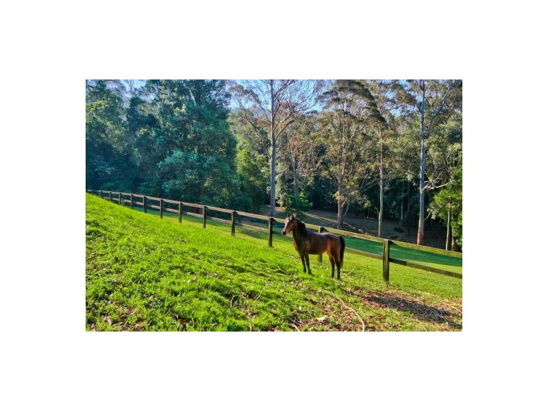 74 Clyde Road, Holgate NSW 2250