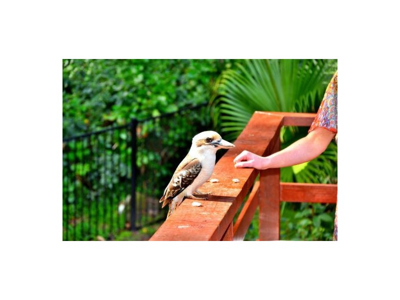 17 Lemon Tree Street, Wyoming NSW 2250