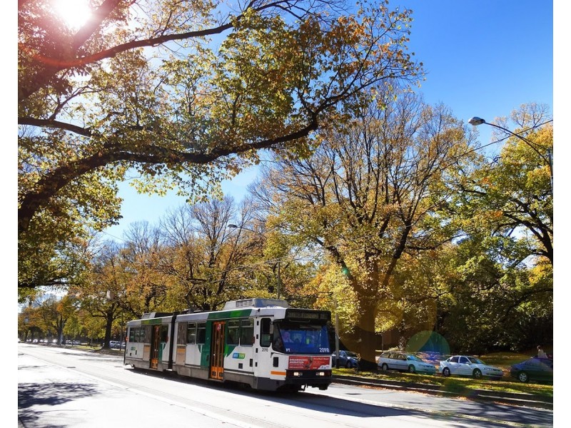 502/459 Royal Parade, Parkville VIC 3052