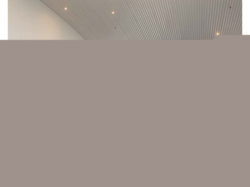 1411/250 Elizabeth Street, Melbourne VIC 3000