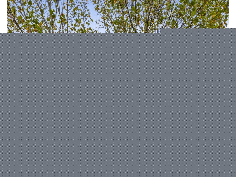 2/4 Abbotsford Street, West Melbourne VIC 3003