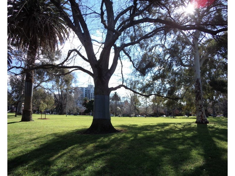 12/53 Grey Street, East Melbourne VIC 3002