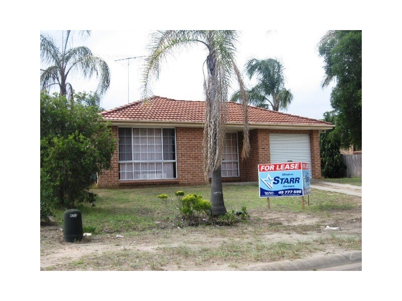 12 Neilson Crescent, Bligh Park NSW 2756