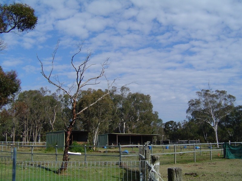 Llandilo NSW 2747