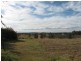 Pitt Town NSW 2756