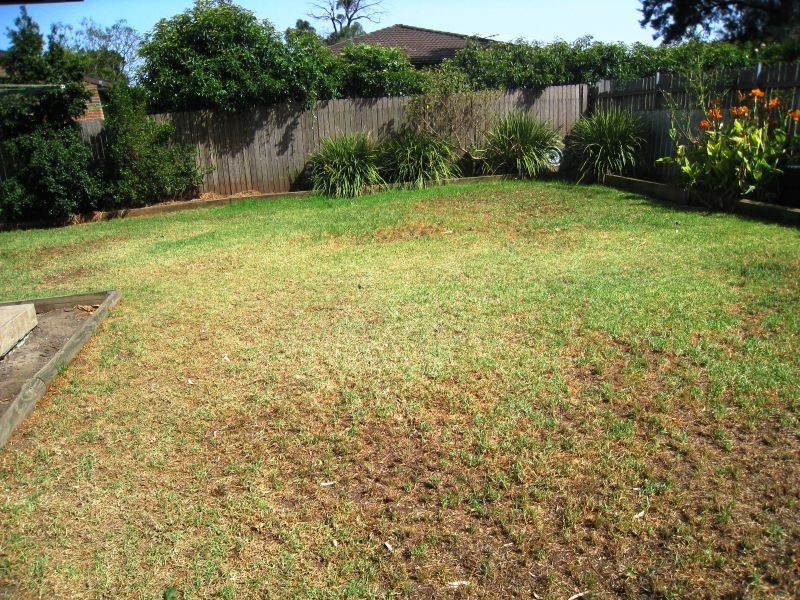 South Windsor NSW 2756