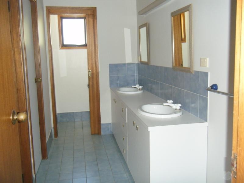 12 Shepards Road, Freemans Reach NSW 2756