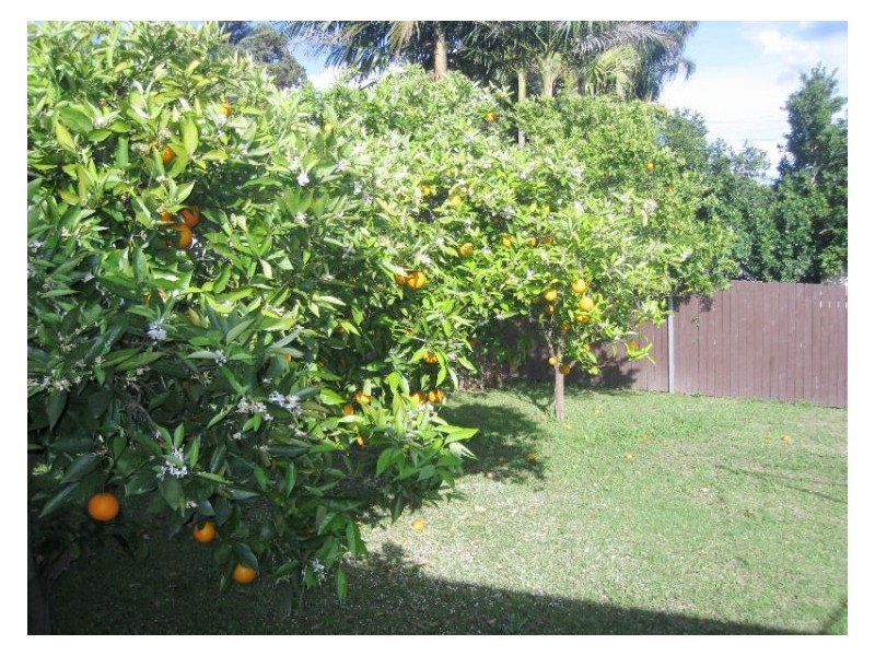 South Windsor NSW 2756