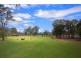 77 Torkington Road, Londonderry NSW 2753