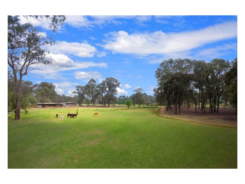 77 Torkington Road, Londonderry NSW 2753