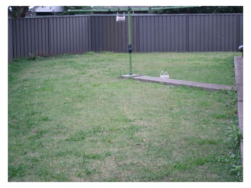 6 Bateman Place, Bligh Park NSW 2756