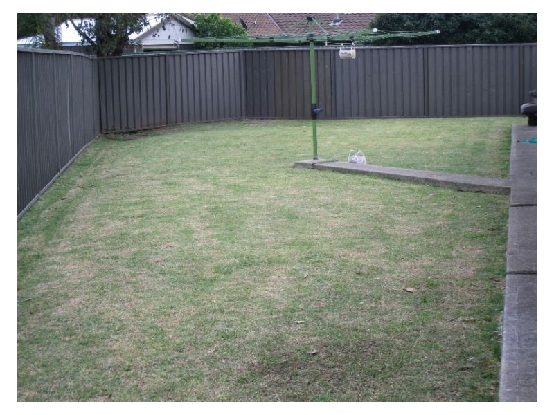 6 Bateman Place, Bligh Park NSW 2756