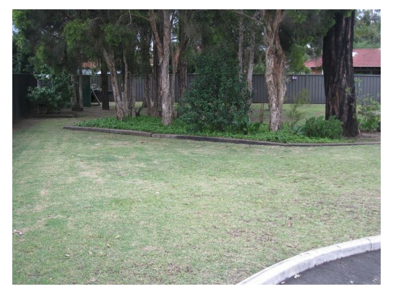 6 Bateman Place, Bligh Park NSW 2756