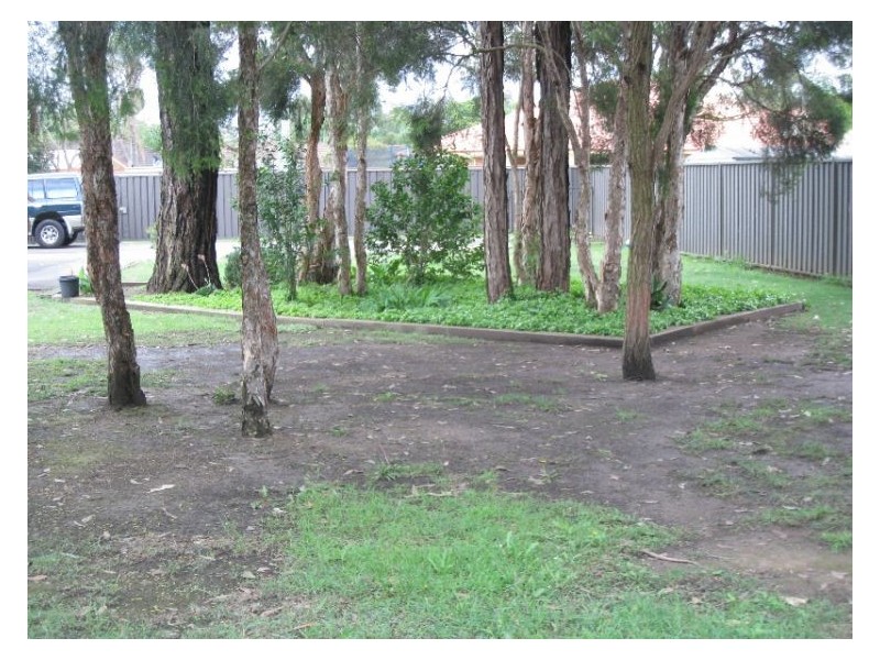 6 Bateman Place, Bligh Park NSW 2756