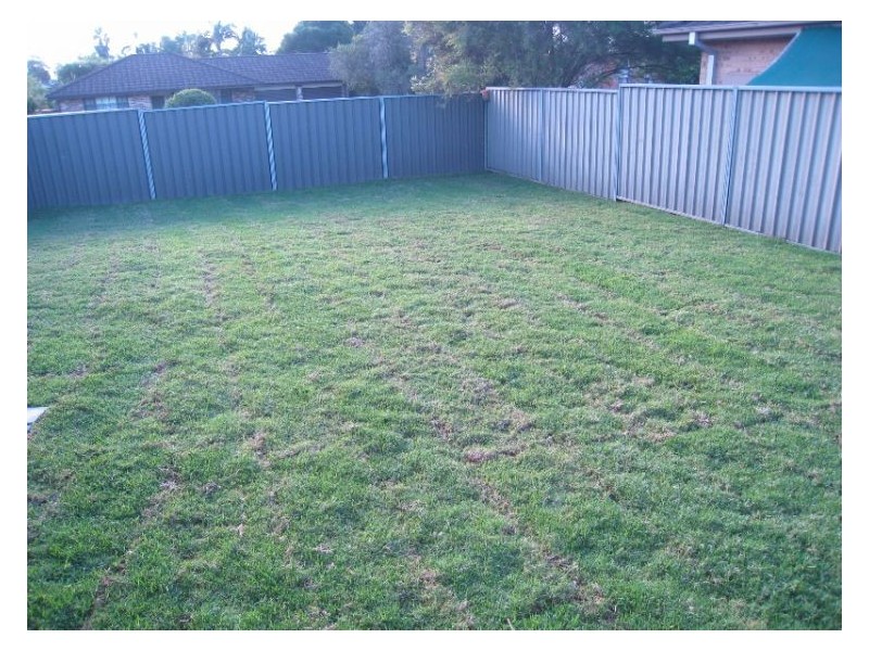 13 Jenkyn Place, Bligh Park NSW 2756