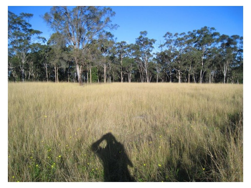 128 Bullridge Road, East Kurrajong NSW 2758