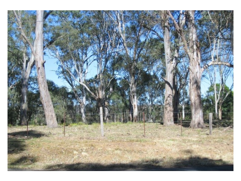 88 Commercial Road, Vineyard NSW 2765