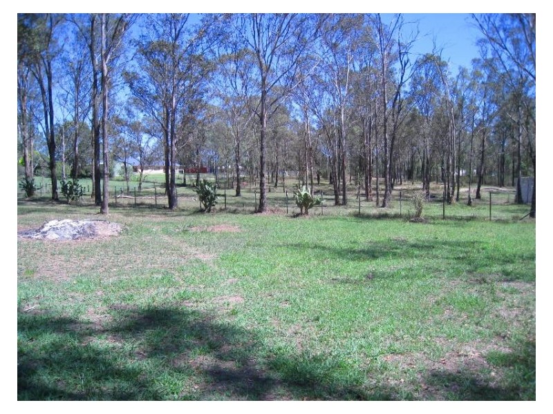 53 Beecroft Road, Wilberforce NSW 2756