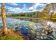 29 Buckleys Road, Tyagarah NSW 2481