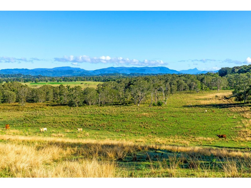 29 Buckleys Road, Tyagarah NSW 2481