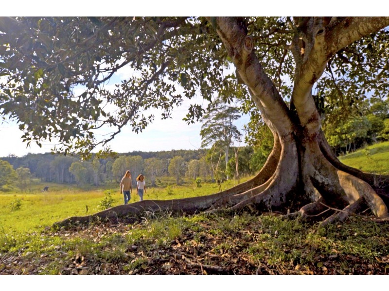 29 Buckleys Road, Tyagarah NSW 2481