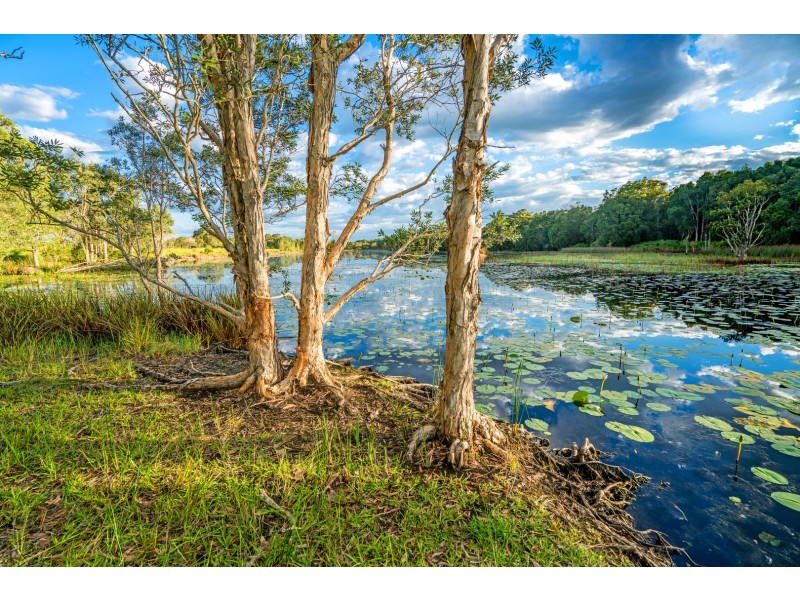 29 Buckleys Road, Tyagarah NSW 2481