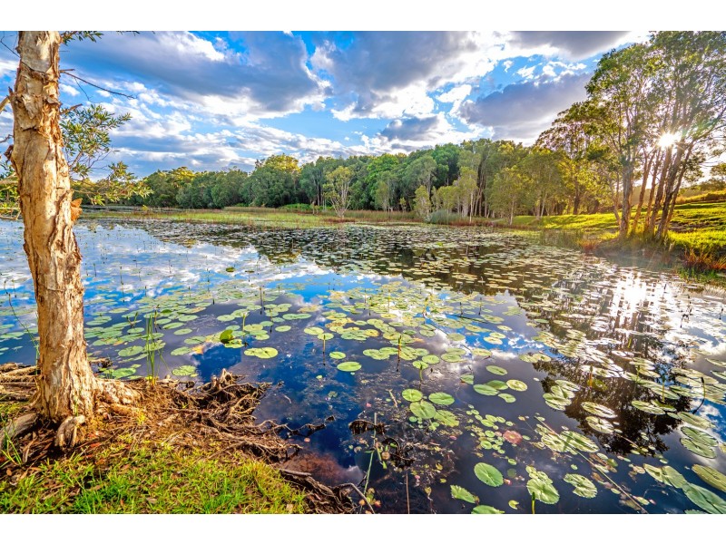 29 Buckleys Road, Tyagarah NSW 2481