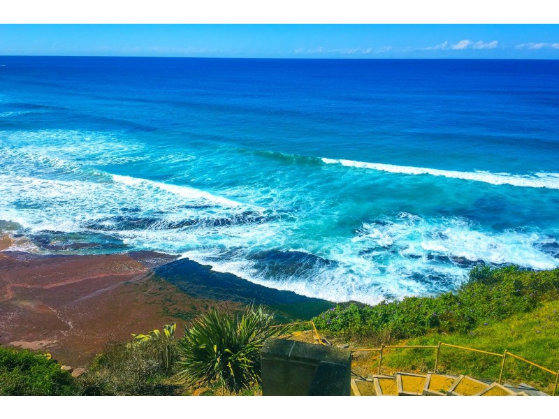 164 Barrenjoey Road, Newport NSW 2106