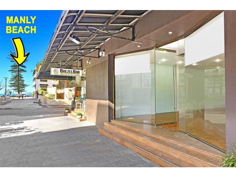 5a Raglan Street, Manly NSW 2095