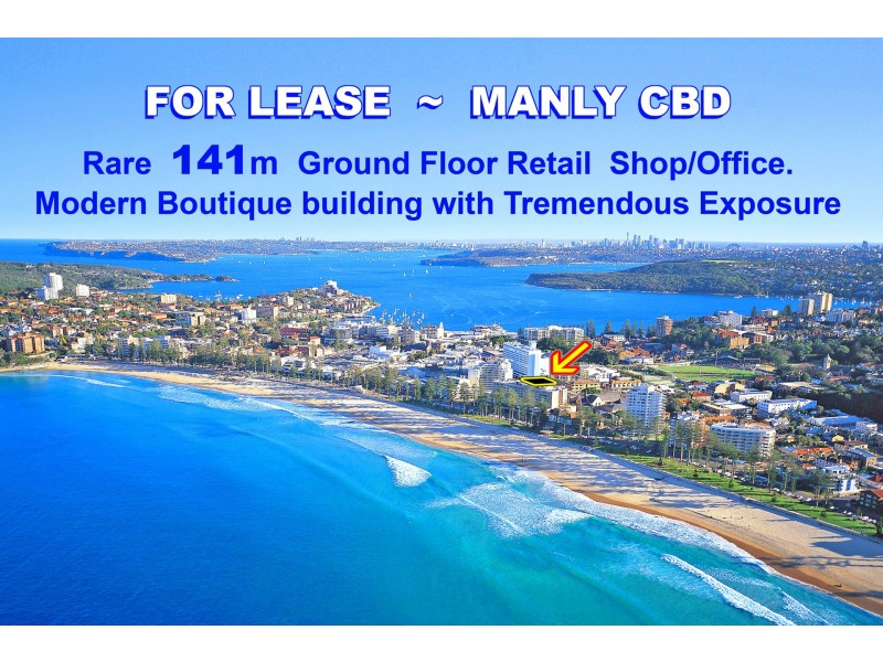 5a Raglan Street, Manly NSW 2095