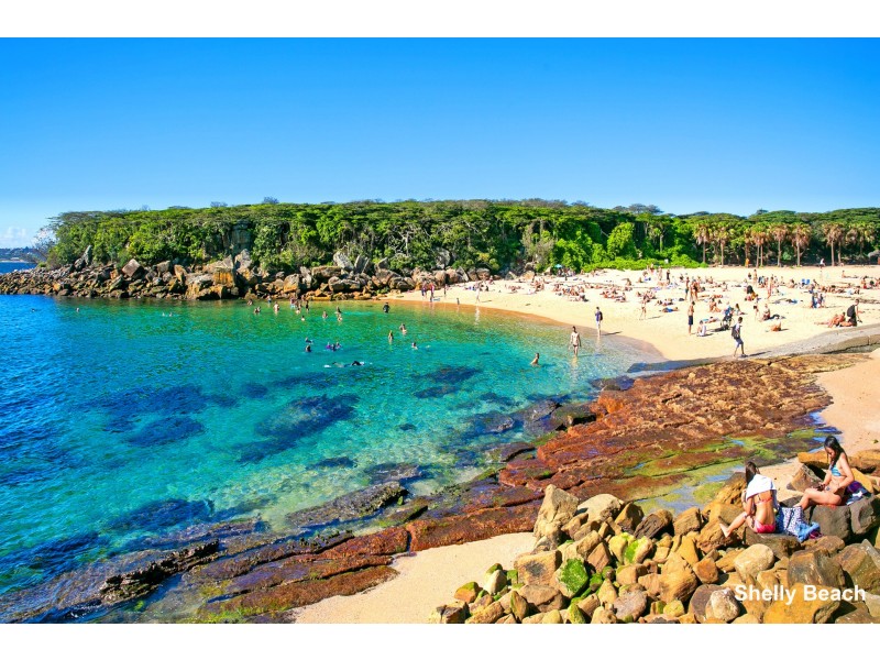 7 Spring Cove Avenue, Manly NSW 2095