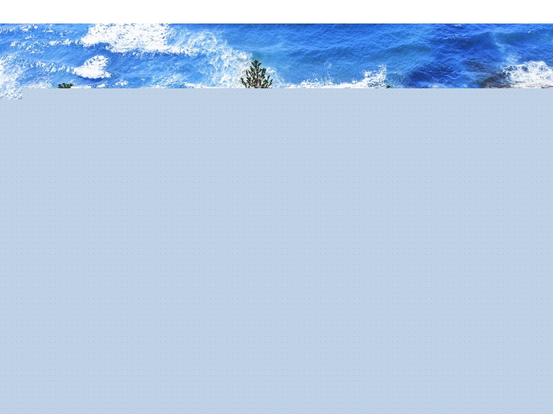 164 Barrenjoey Road, Newport NSW 2106