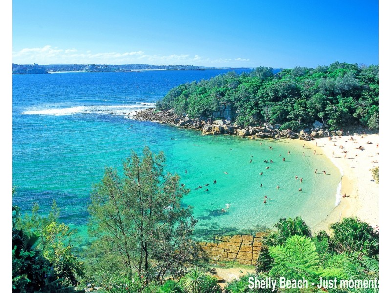 6/120 Bower Street, Manly NSW 2095