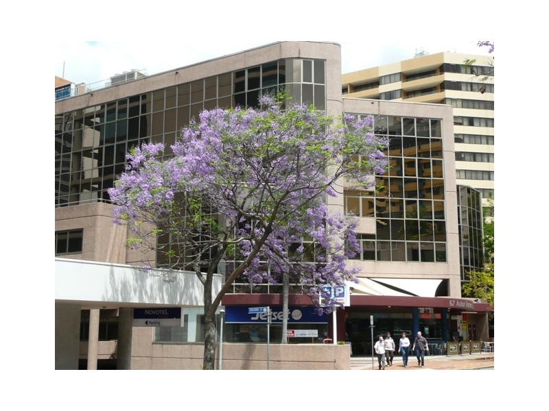 Spring Hill QLD 4000