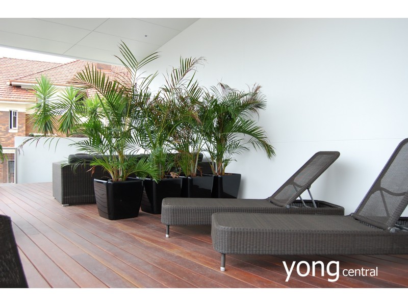 Kangaroo Point QLD 4169