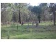 Mango Hill QLD 4509