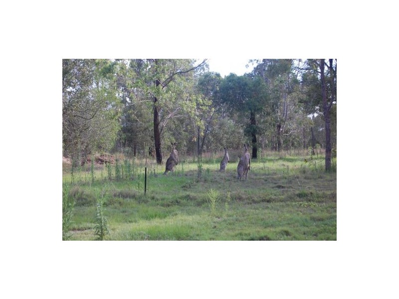 Mango Hill QLD 4509