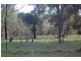Mango Hill QLD 4509