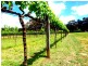 Lot 112 Murrimba Road, Wingello NSW 2579