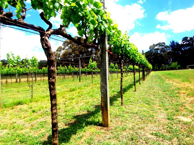 Lot 112 Murrimba Road, Wingello NSW 2579