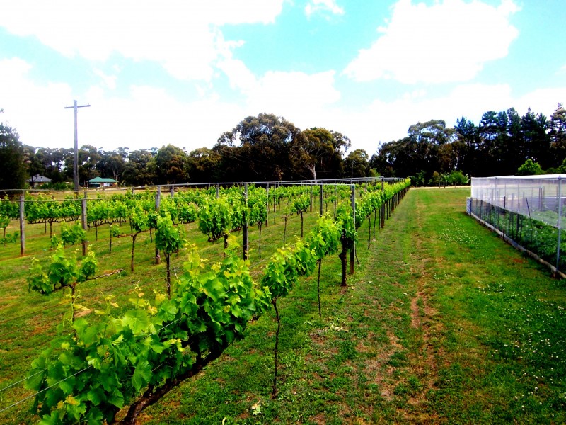 Lot 112 Murrimba Road, Wingello NSW 2579