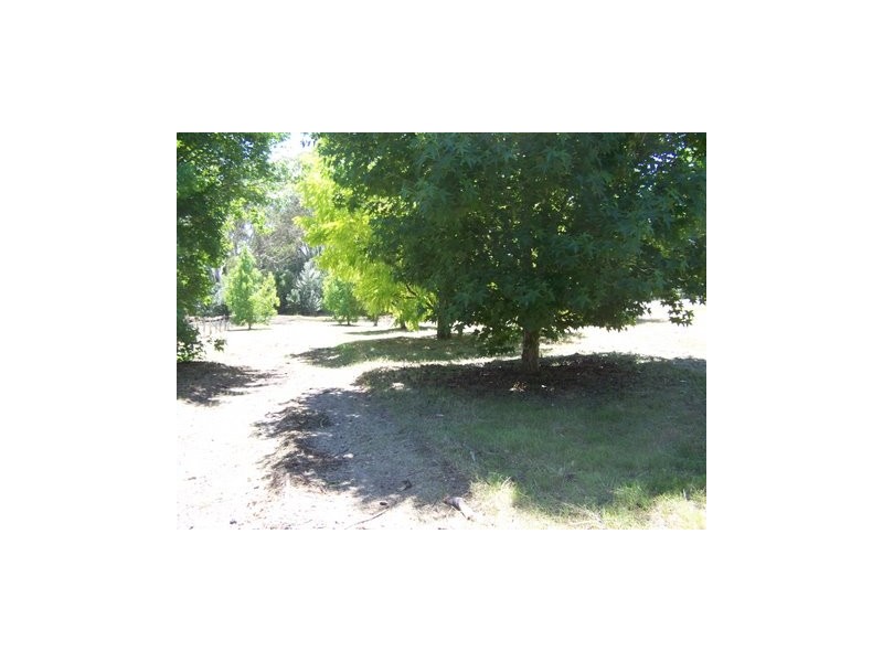 47 Hilder Street, Elderslie NSW 2570