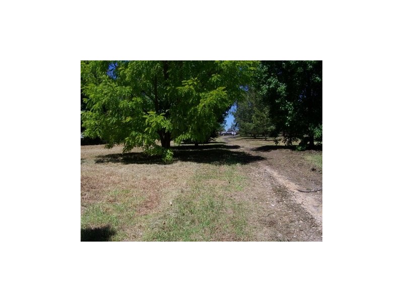 47 Hilder Street, Elderslie NSW 2570