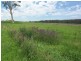 85 Terry Road, Theresa Park NSW 2570