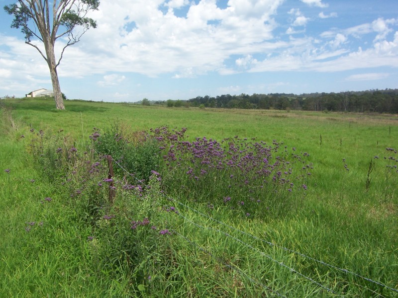 85 Terry Road, Theresa Park NSW 2570